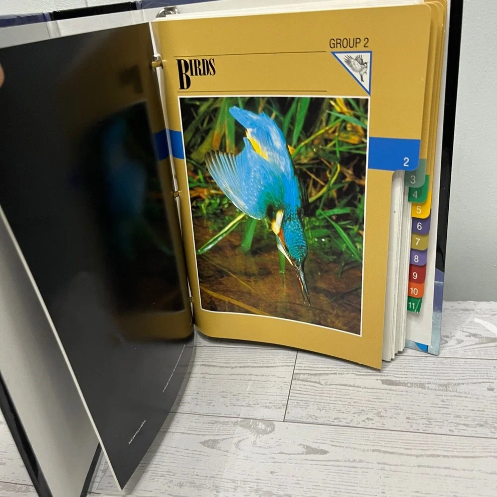 Wildlife Fact-File Binder Cards RANDOM Habitat Animals INCOMPLETE Over 40 cards